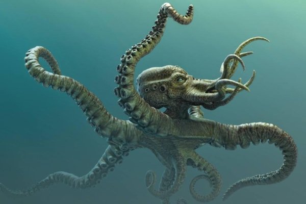 Kraken url