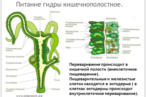 Регистрация на kraken com