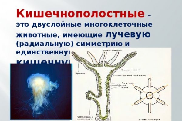 Кракен что продается